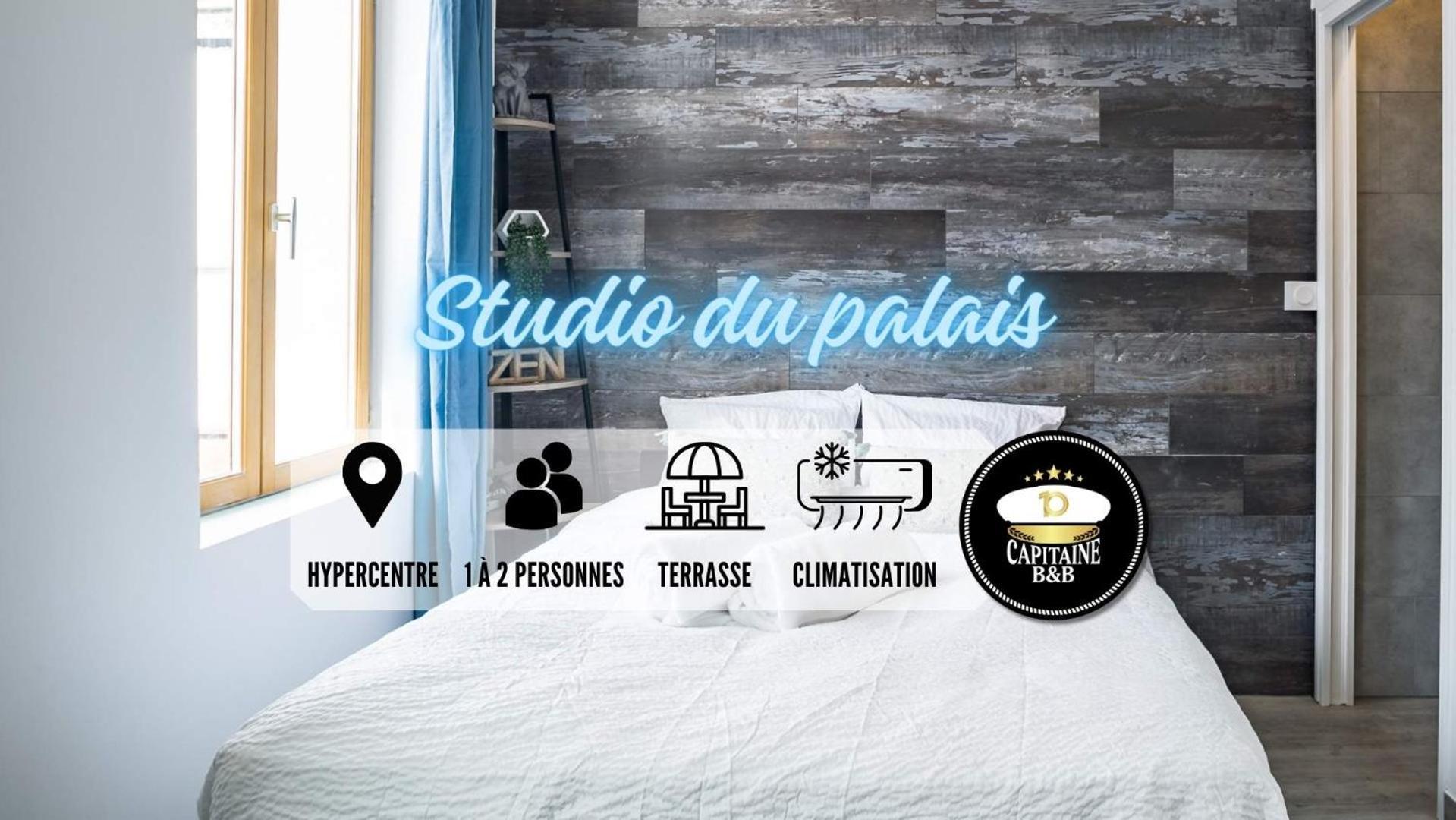 Apartament Studio Du Palais - Terrasse- Hypercentre Troyes Zewnętrze zdjęcie